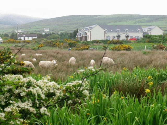 The Skellig Lodge & Hostel Ballinskelligs Exterior photo